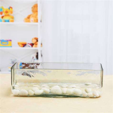 Buy 12 inch (30 cm) Rectangle Glass Vase online from Nurserylive at ...