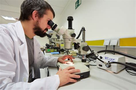 Selección de materiales: clave para la prevención