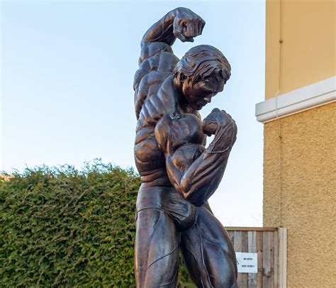 Bodybuilding Flexing 的图像结果