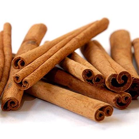 Lavanga Pattai / True Cinnamon Tree / Ceylon Cinnamon Tree/Dalchini ...