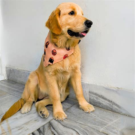 Superhero Print 02 Dog Bandana with Adjustable Belt and Lock Buckle fo ...