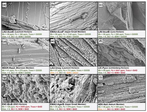 CP - Clumped-isotope-derived climate trends leading up to the end-Cretaceous mass extinction in ...