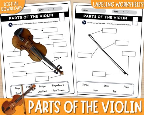 Printable Parts of the Violin Labeling Worksheets, With Answer Keys, Violin Diagram, Label the ...