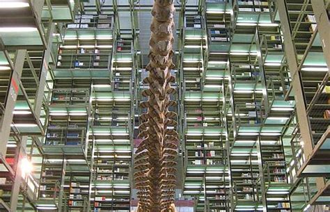 15 Incredible Libraries Around the World ~ Telugu Stories, Health Tips ...