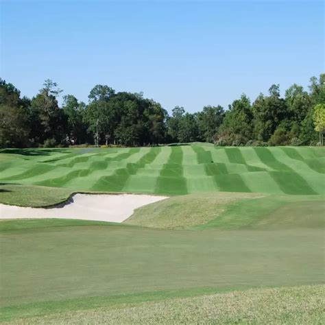 Exploring The Charm Of Goose Creek, South Carolina: Must-Visit ...