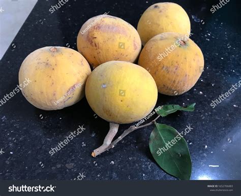 Image result for Kuning Kecapi