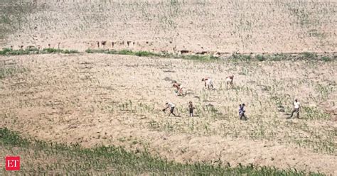 Maharashtra needs separate department for drought relief: Observer ...
