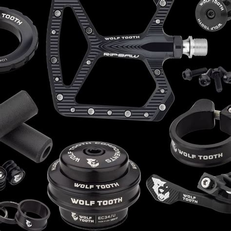Install a Wolf Tooth Gnar Chain Guide 的图像结果