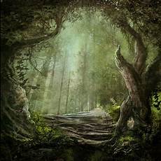 Tree Photography Backdrop by Aliexpress Buy 7x10ft Foggy Forest Background Wooded Tree Photography Backdrop