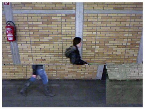 Applying a Deep Learning Neural Network to Gait-Based Pedestrian ...
