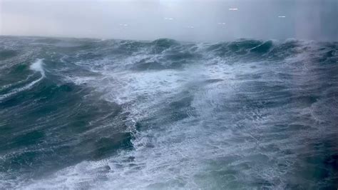 Is There Gold In The North Sea at Elisa Champagne blog