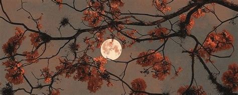 Mr. Reca. — Teletype