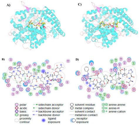 Novel Angiotensin-Converting Enzyme Inhibitory Peptides Identified from ...