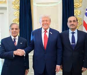 Trump says Pak PM, field marshal back his plan to end Gaza conflict ...