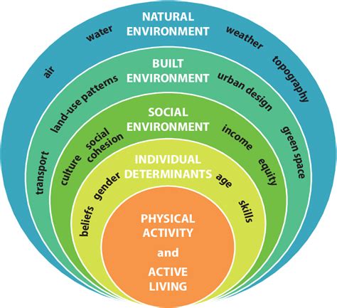 e Social-Ecological Model Adapted for Physical Activity 24 | Download ...