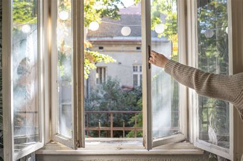 How to Improve Indoor Air Quality at Home? - Dwello