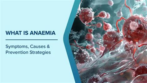 What is Anaemia: Symptoms, Causes & Prevention Strategies | Max Hospital