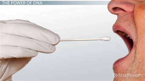 Forensic Science DNA 的图像结果