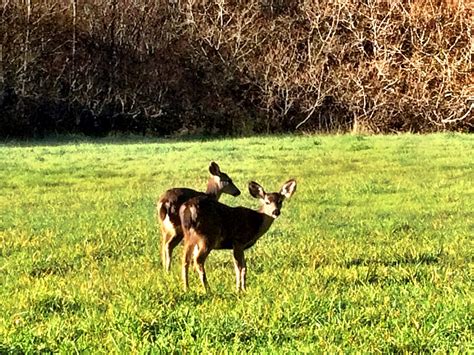 San Pedro County Park