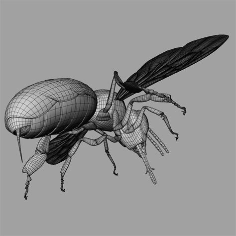 Image result for Debug Block