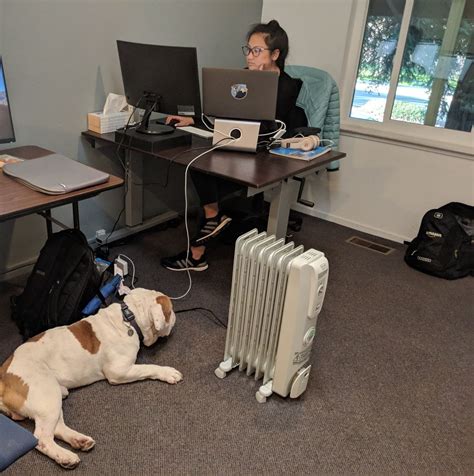 Diffbot Office Photos | Glassdoor