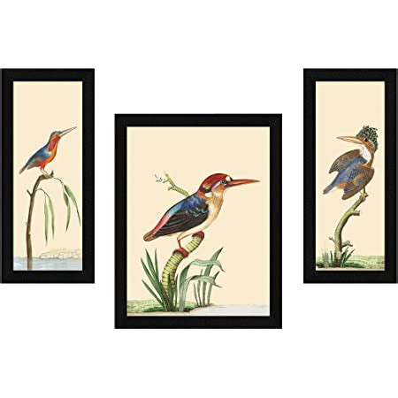 ArtX Paper Sea Birds Wall Art Painting, Multicolor, Bird, 13 X 22 ...