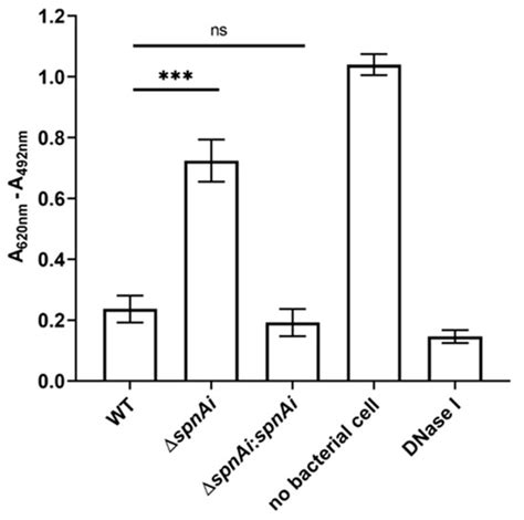 Functional Analysis of Two Novel Streptococcus iniae Virulence Factors ...