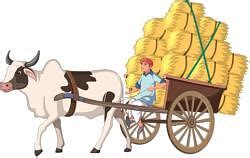 Means of Transport Class 1 Notes EVS Free PDF