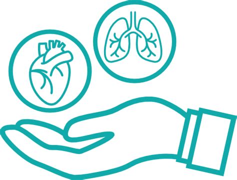Top Heart and Lung Transplant in India | Gleneagles Hospitals