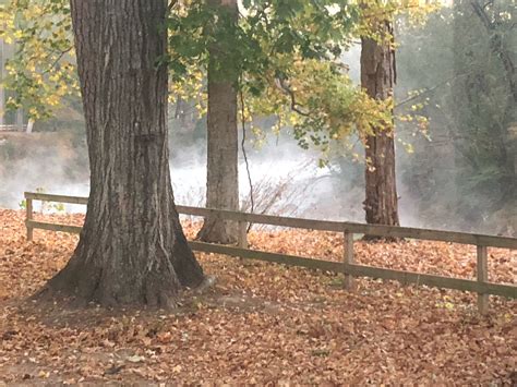 411 River Rest Campground Reviews updated 2026