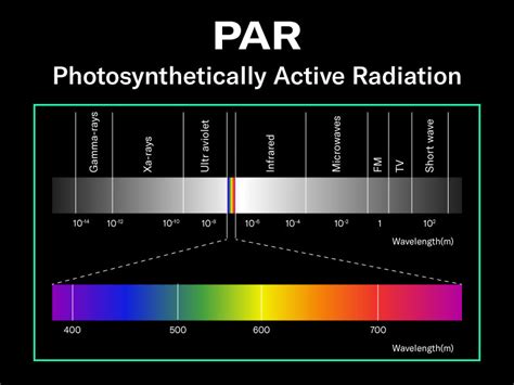 Par Color Development Principle 的图像结果