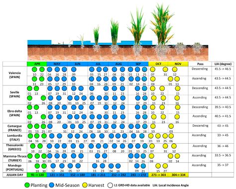 European Rice Cropland Mapping with Sentinel-1 Data: The Mediterranean ...