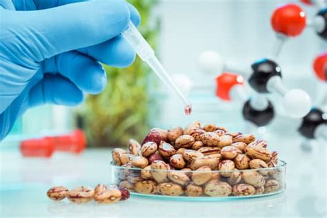 What Is Genetic Modification 的图像结果