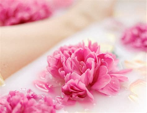 The Benefits of Milk Baths | thelittlegoatsoapcompany.co.uk