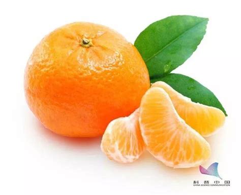 心理测试：三个橘子，凭直觉哪一个是假的？秒测出你智商的高低！__财经头条