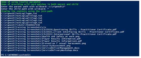 Join-Path PowerShell 的图像结果