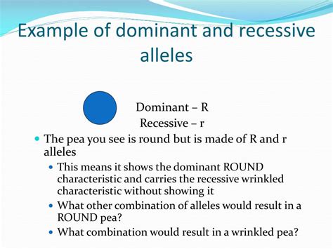Image result for Recessive Allele Example
