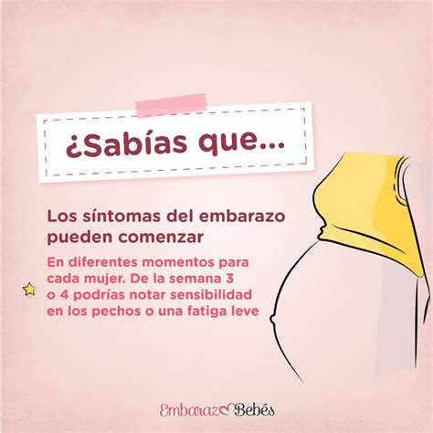 🔴 CUÁNDO empiezan los SÍNTOMAS DE EMBARAZO: Primeras Señales de que estás embarazada | Embarazo ...