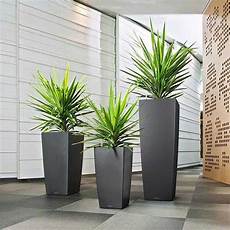 allestimento terrazzi allestimento piante giardini terrazzi napoli monfleur allestimento terrazzi allestimento piante giardini terrazzi napoli monfleur
