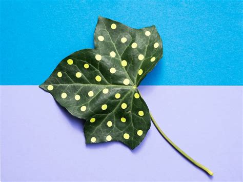 Page 16 | Green symbolism Images - Free Download on Freepik