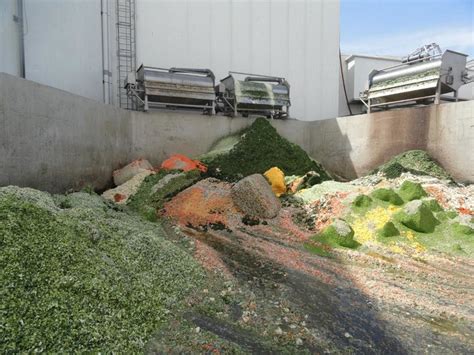 Food Waste Plant Sampling 的图像结果