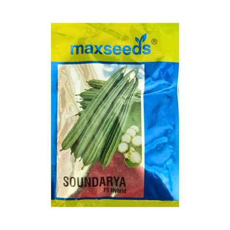 Soundarya Ridge Gourd Seeds - Max | F1 Hybrid | Buy Online - DesiKheti ...