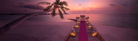 More fares | Qatar Airways