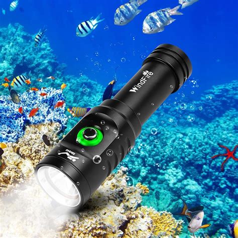 Image result for Diving Flashlight