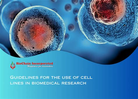 Guidelines for the use of cell lines in biomedical research
