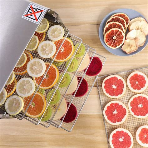 Buy Food Dehydrator, 500W Household Fruit Dryer, Digital Timer and Temperature Control, 6 Trays ...