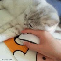 Image result for Computer Mouse GIF