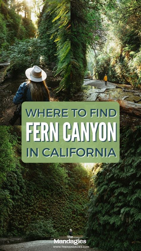 7 things that make humboldt california so magical – Artofit