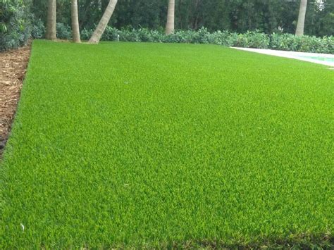 Image result for Astro Turf Installation Guide