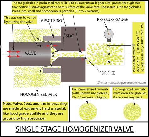 WHAT IS HOMOGENIZED MILK? HOW MILK IS HOMOGENIZED?
